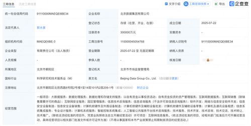 北京數據集團正式揭牌成立，為數據處理服務注入新動力