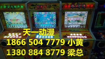 小型雙人打魚游戲機(jī)的價(jià)格及廣州番禺區(qū)市橋王訊動(dòng)漫產(chǎn)品開發(fā)部的相關(guān)介紹